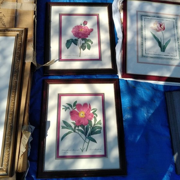 PAIR OF BOTANICAL PRINTS WITH ROSE-COLORED FLOWERS IN TRIPLE-MAT MAHOGANY FRAMES - Picture 2 of 4